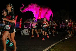 BIB: 
                            <button type="button" onclick="openModal(26535056)" class="btn btn-primary btn-sm float-right btn-popup" data-toggle="modal" data-target=".modal-high-quality">
                        <i class="fas fa-shopping-cart"></i> Add to Cart
                    </button>
                                            <button type="button" onclick="isThisMe(26535056, true)" class="btn btn-success btn-sm float-right btn-popup btn-isme hidden" data-toggle="tooltip" data-placement="bottom" title="นี่คือรูปของคุณใช่ไหม คลิกที่นี่เพื่อเอาเข้าอัลบั้ม">
                        <i class="fas fa-plus"></i> Add to album
                    </button>
                    <button type="button" onclick="isThisMe(26535056, false)" class="btn btn-warning btn-sm float-right btn-popup btn-isnotme hidden">
                        <i class="fas fa-ban"></i> Remove from album
                    </button>